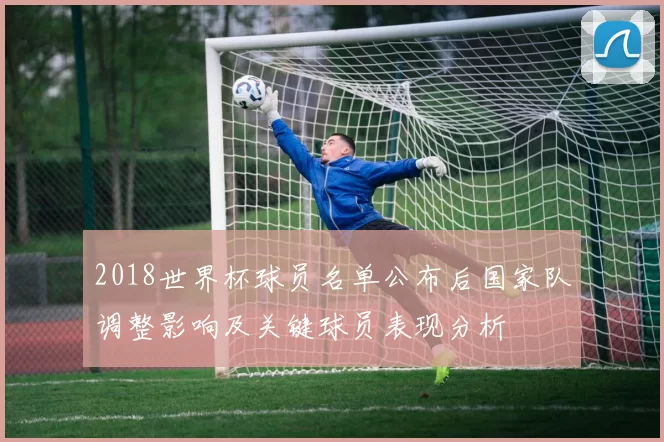 2018世界杯球员名单公布后国家队调整影响及关键球员表现分析