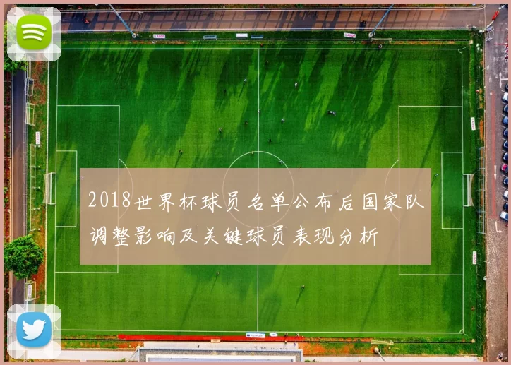 2018世界杯球员名单公布后国家队调整影响及关键球员表现分析