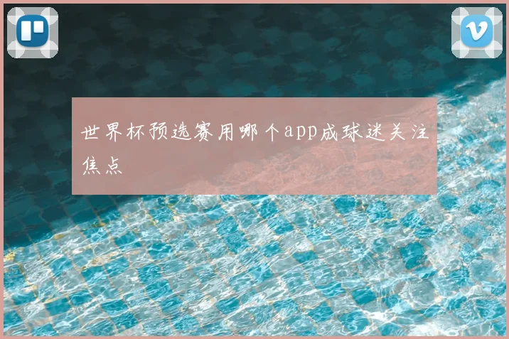 世界杯预选赛用哪个app成球迷关注焦点