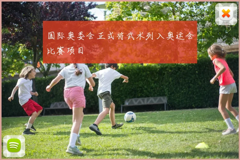 国际奥委会正式将武术列入奥运会比赛项目