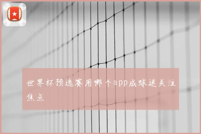 世界杯预选赛用哪个app成球迷关注焦点