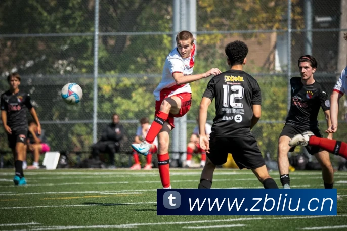 爱游戏体育app官网登录入口 - 爱游戏(中国)APP 封面图